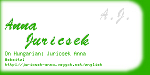 anna juricsek business card